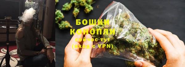 МДПВ Богородицк
