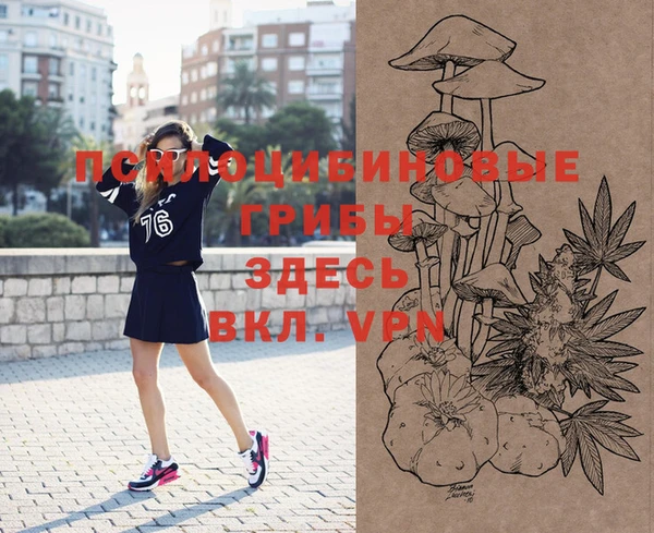 марки lsd Богданович