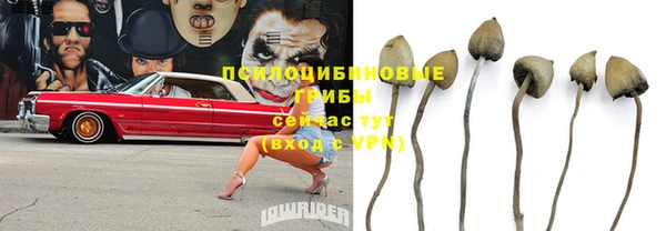 МДПВ Богородицк