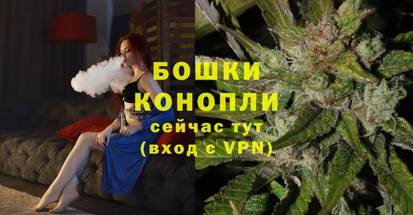 МДПВ Богородицк