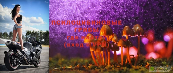 марки lsd Богданович