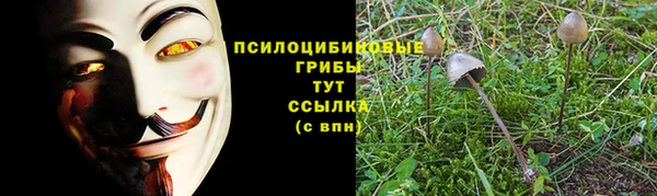 ECSTASY Богородск