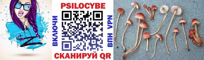 нарко площадка клад где продают Вяземский Галлюциногенные грибы ЛСД